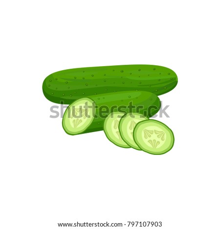 cucumber whole and slices isolated on white background. Vector illustration. Healthy food design. ingredients for cooking.