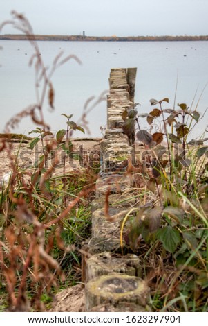 Similar – Image, Stock Photo Forest lake with groynes