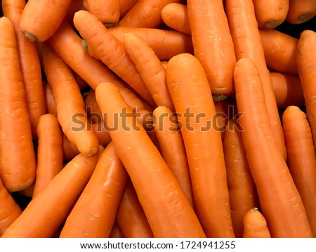 Texture background of fresh large orange carrots.  Seamless carrot pattern.