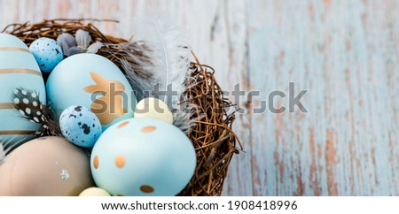 Banner. Easter eggs, feathers in a nest on a blue wooden background. The minimal concept. Top view. Card with a copy of the place for the text.