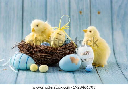 Blue, yellow, white eggs in the nest and yellow chicks on a blue wooden background. The minimal concept. An Easter card with a copy of the place for the text.