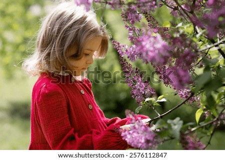 Similar – Image, Stock Photo Lilac bloom with 5 petals in woman’s hands