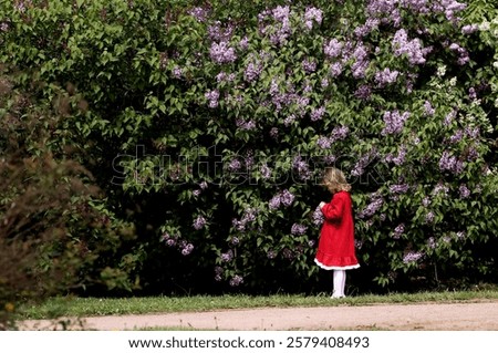 Similar – Image, Stock Photo Lilac bloom with 5 petals in woman’s hands