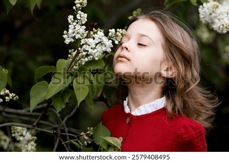 Similar – Image, Stock Photo Lilac bloom with 5 petals in woman’s hands