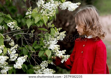 Similar – Image, Stock Photo Lilac bloom with 5 petals in woman’s hands