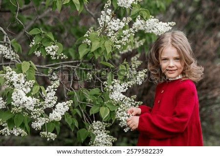 Similar – Image, Stock Photo Lilac bloom with 5 petals in woman’s hands