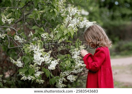 Similar – Image, Stock Photo Lilac bloom with 5 petals in woman’s hands