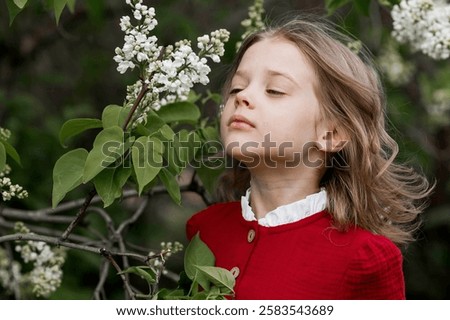 Similar – Image, Stock Photo Lilac bloom with 5 petals in woman’s hands