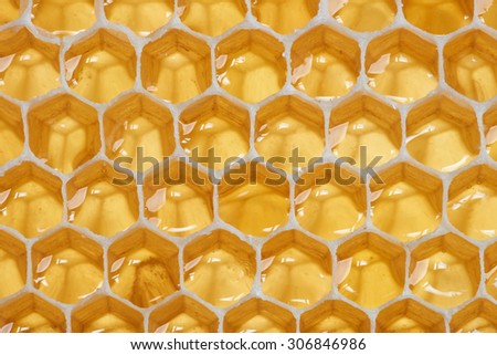 Macro of backlit honeycomb with natural raw honey