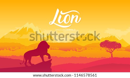 The Lion King of Animals is viewing his possessions illustration. Wild animal against the background of nature africa concept. Wild animal in the savannah.
