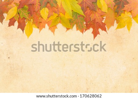 Autumn leaves on a textured background with room for copy space.