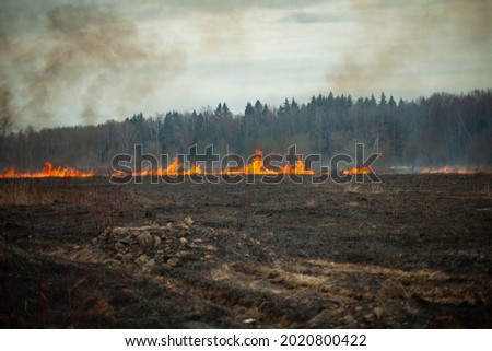 Similar – Image, Stock Photo Burned grass. Spring fires. Ashes of the burnt grass. A field with burnt grass with trash and burnt trees.