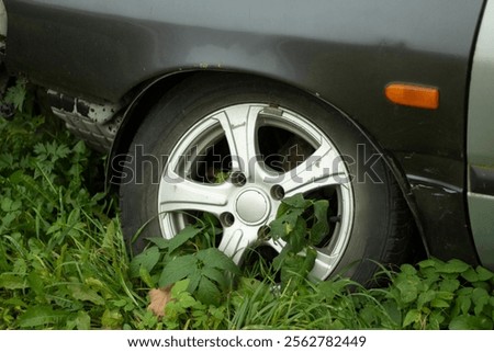 Similar – Image, Stock Photo Detail of an abandoned building in the middle of the Jungle