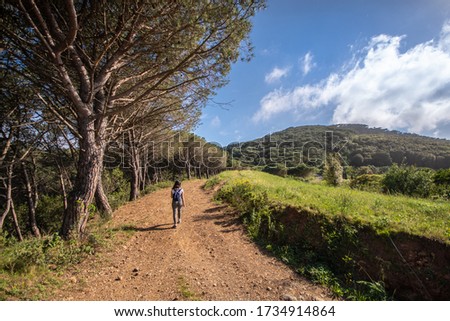 Similar – Image, Stock Photo Girl walking under a pine tree, looking at the sea