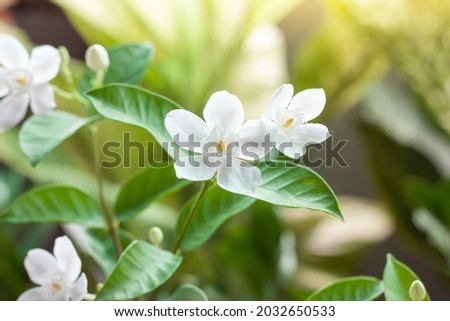 Shutterstock Puzzlepix