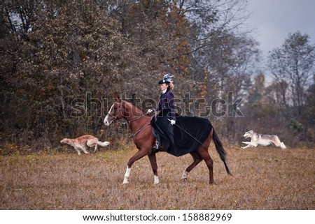 MOZHAISK, MOSCOW- OCTOBER 5, 2013 : Historical reconstruction of famous Russian hounds hunting by horse club \