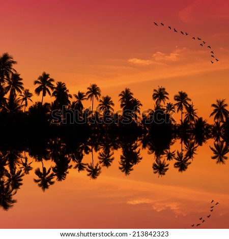 silhouette of coconut trees and birds with water reflection