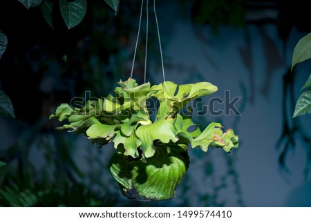 Shutterstock Puzzlepix