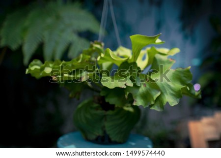 Shutterstock Puzzlepix