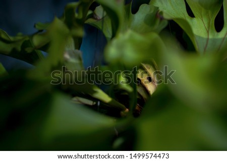 Shutterstock Puzzlepix