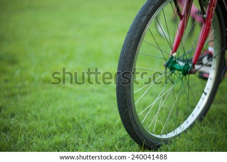 Wheel bike in the park
