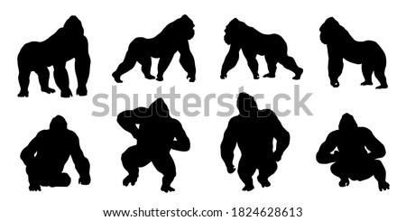 gorilla silhouettes on white background