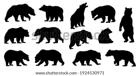 various bear silhouettes on the white background