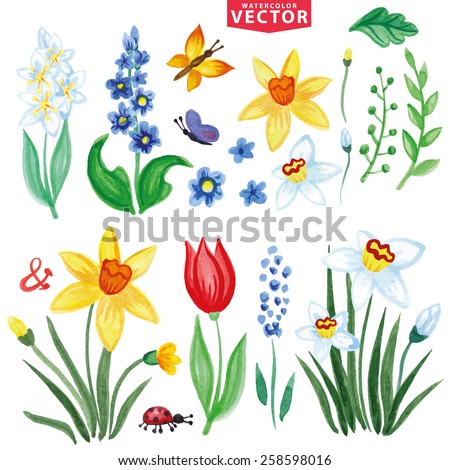 Watercolor flowers,insects,branch.Vintage floral vector,isolated clipart, scrapbooking elements,icons set,kit.Bright colors,spring,summer Floral bouquet maker