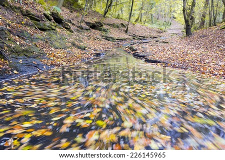 Golden autumn leaves leaving swirling trace on the spring water achieved by long exposure