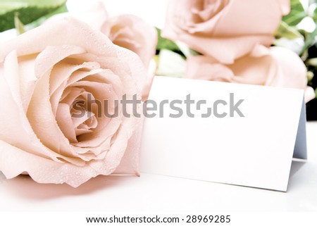Pink rose and a blank visiting or invitation card