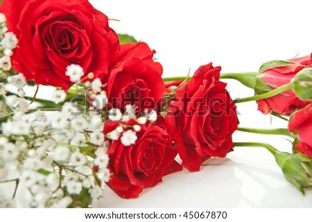 Red roses bouquet on a white background