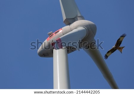 Similar – Image, Stock Photo The red kite glides elegantly through the air. The sky is cloudy, but he looks down spellbound.