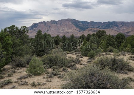 Shutterstock Puzzlepix