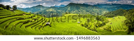 Similar – Image, Stock Photo terrace   field for  coultivation of rice