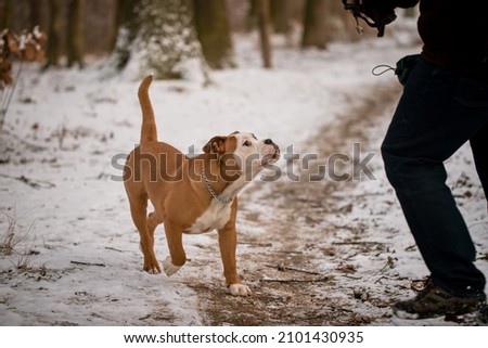 Similar – Image, Stock Photo undaunted Environment