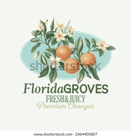 Florida Orange Grove Vector Graphic