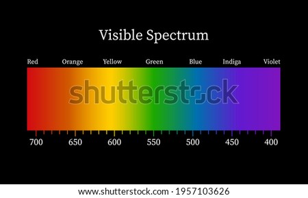 Visible spectrum on black background. Color electromagnetic spectrum, light wave frequency. Vector illustration. 
