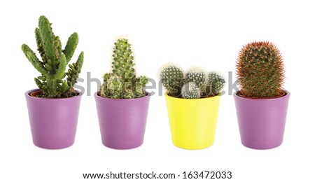 Similar – Image, Stock Photo Mini cactus in white ceramic pot