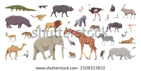 Flat set of african animals. Isolated animals on white background. Vector illustration. Collection