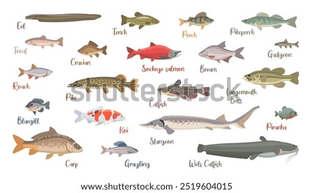 Flat set of fresh water fish. Isolated fish on white background. Vector illustration