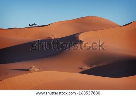 Caravan in the Sahara, Caravan, Desert, Dunes, Sand, Camels, Morocco, Africa