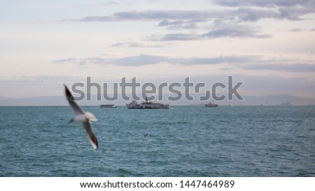 seagulls flying around the passenger ferry Stok fotoğraf © 