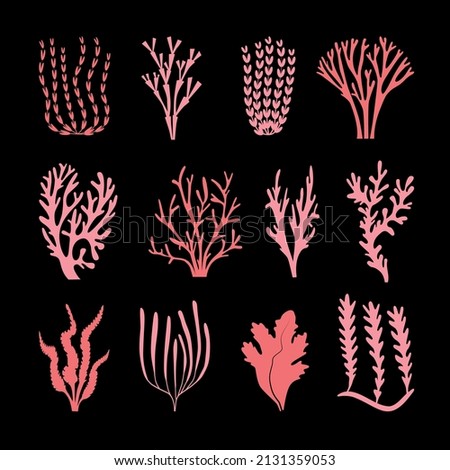 A set of marine icons, including various algae, seaweed, corals, twigs, natural elements. Twelve pink algae for aquarium,marine,ocean design.