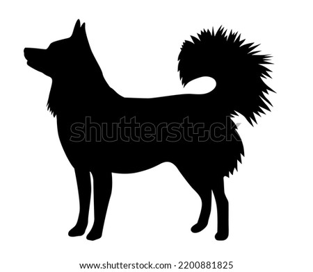 Alaskan klee kai silhouette of a standing dog