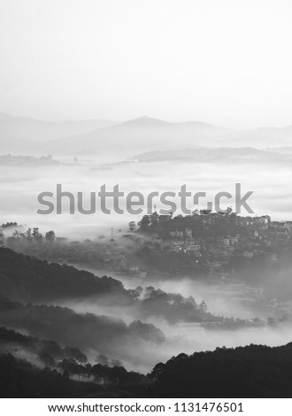 Similar – Image, Stock Photo Mild Black Forest summer