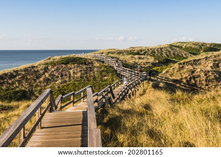 People on wooden footpath through dunes at the North sea beach in Germany.