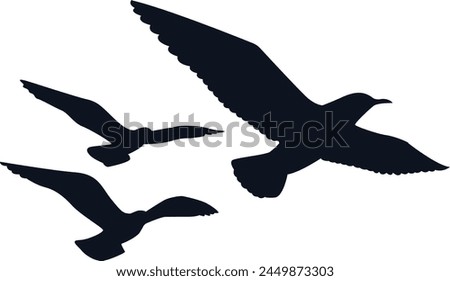 Similar – Image, Stock Photo flocked birds