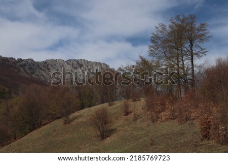incredible landscape in National Park called Nationalpark Domogled-Valea Cernei Stock foto © 