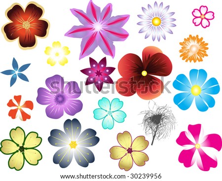 Different Types Of Flowers Stock Vector Illustration 30239956 ...