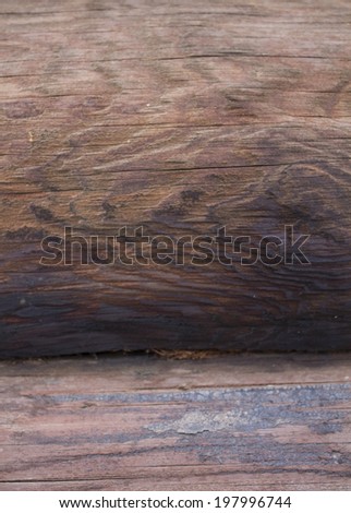 Wall of Wood Logs Chinked with Moss as Background